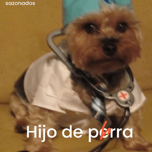 Memes 66 7