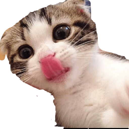 Michis 6