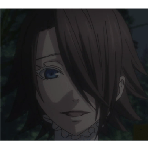 Black butler 14