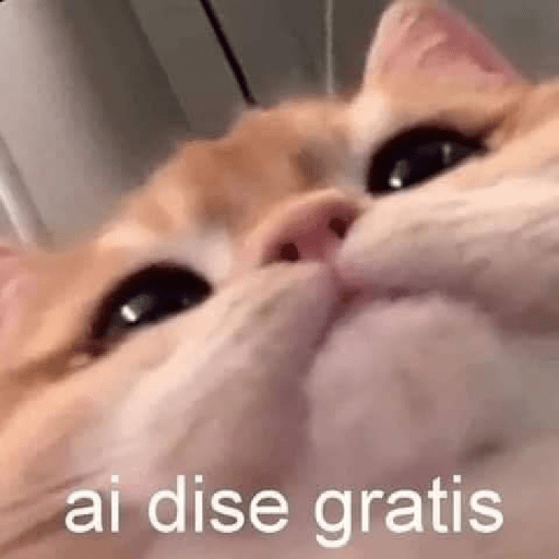 Gatos memes ramdon 5