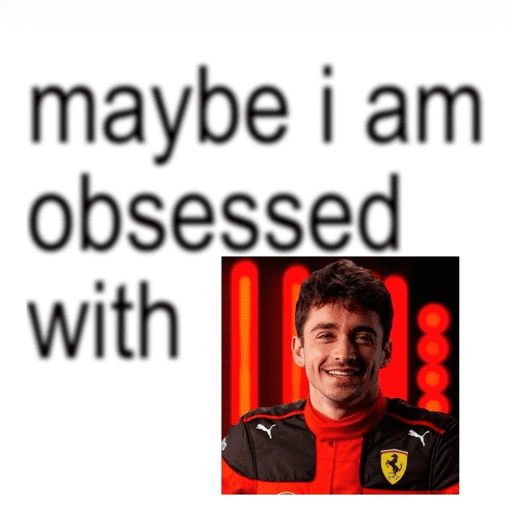 🏎️STICKERS SALVATORE F1🏎️ 12