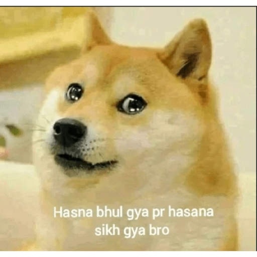 Doge hindi 3 18