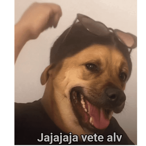 Xdd 24