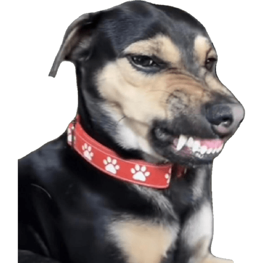 Memes 49 30