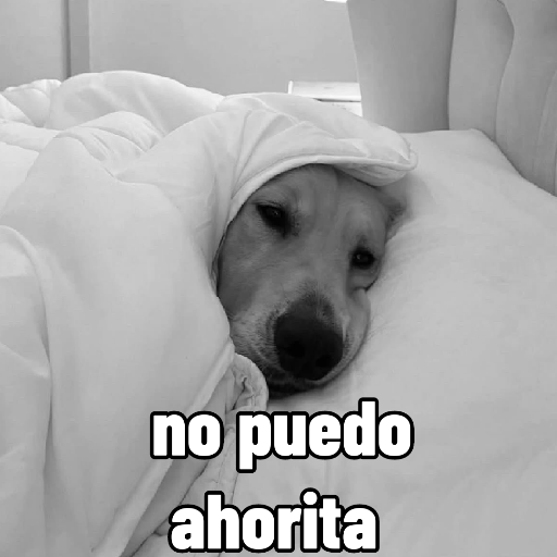 Pal chat  21