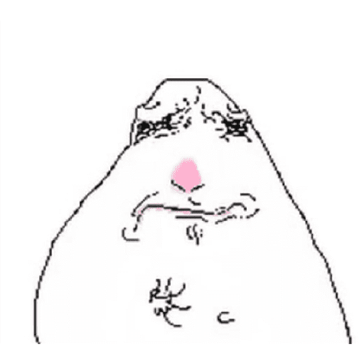 Hamster part 3 10