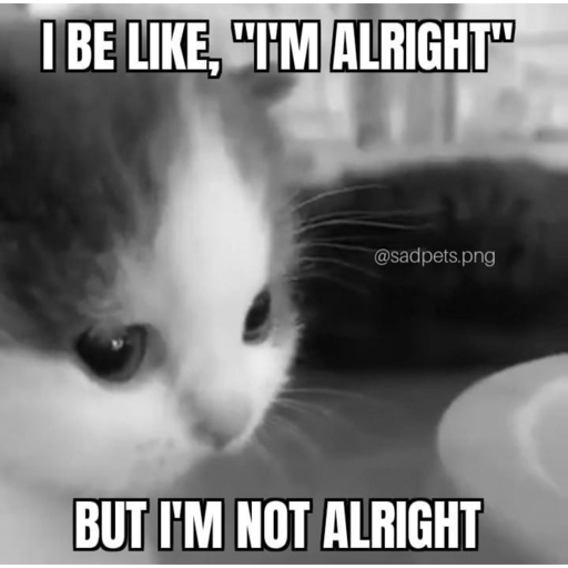 Cats 5