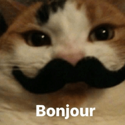 Animais 4
