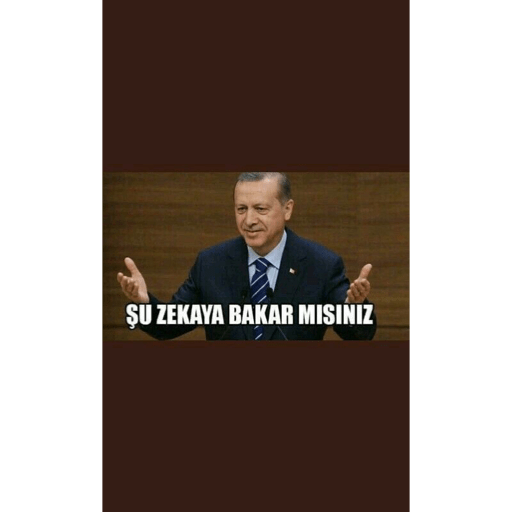 Türkçe meme 3 3