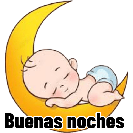B noches bebo 12