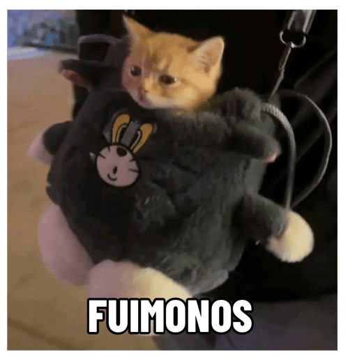 Gatitos 1