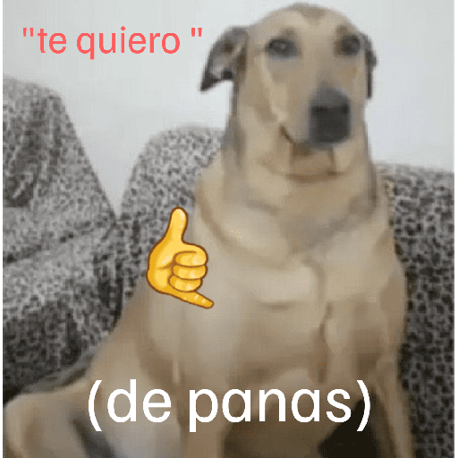 XD Mis pegatinas 3