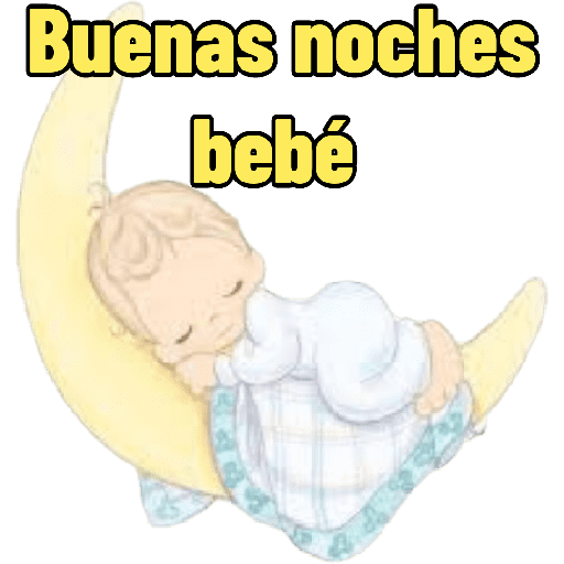 B noches bebo 15