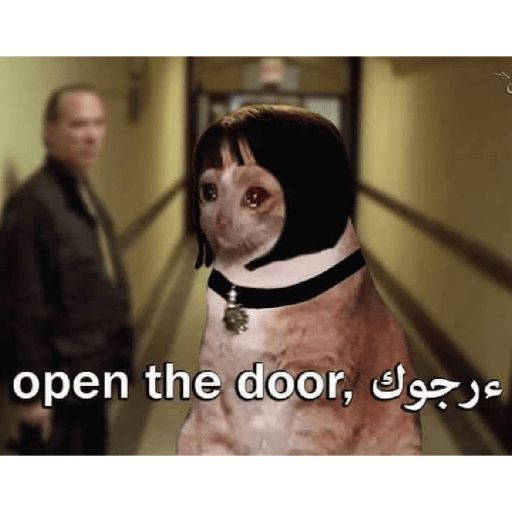 Memes 49 1