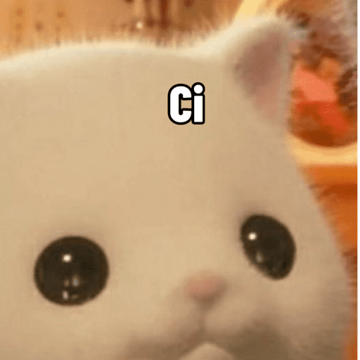 Random VIII 14