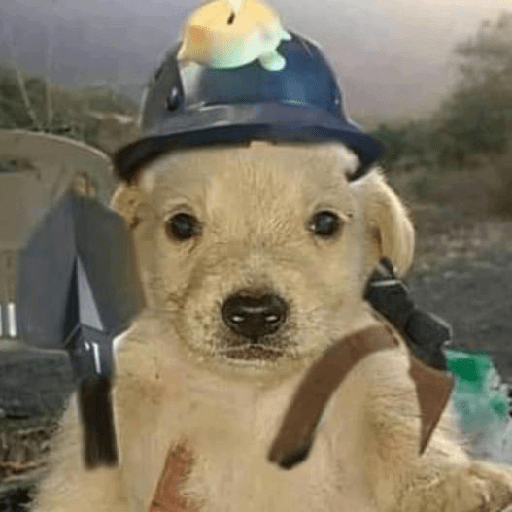 Shitposting 12