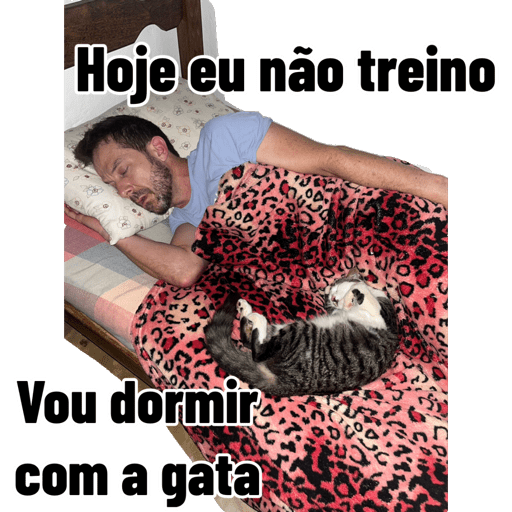 Criações 25