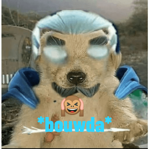 Shitposting 15