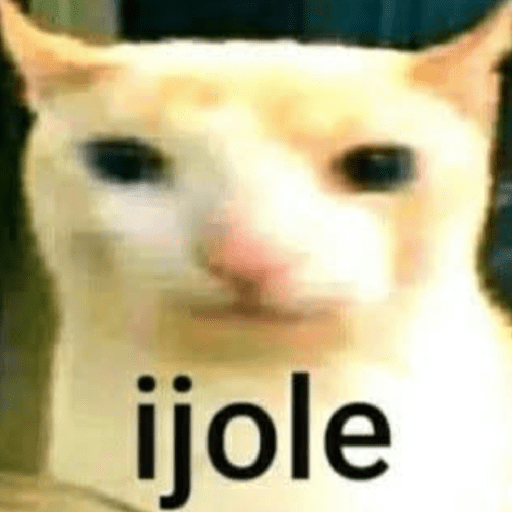 Funny Cats & More  18