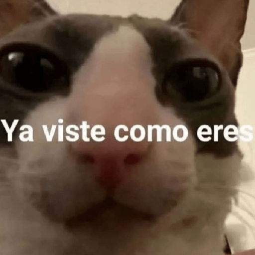 Funny Cats & More  17