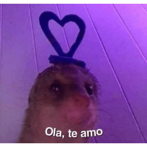No puedo martha 12