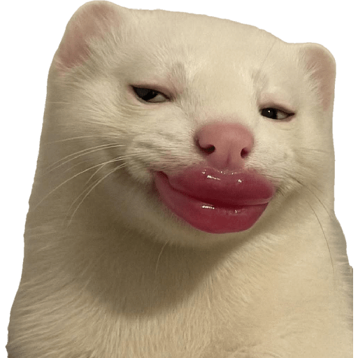 Memes 49 29