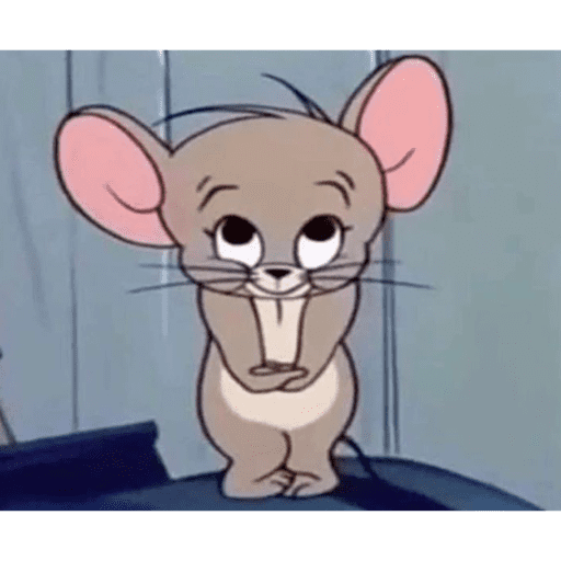 Monito 13