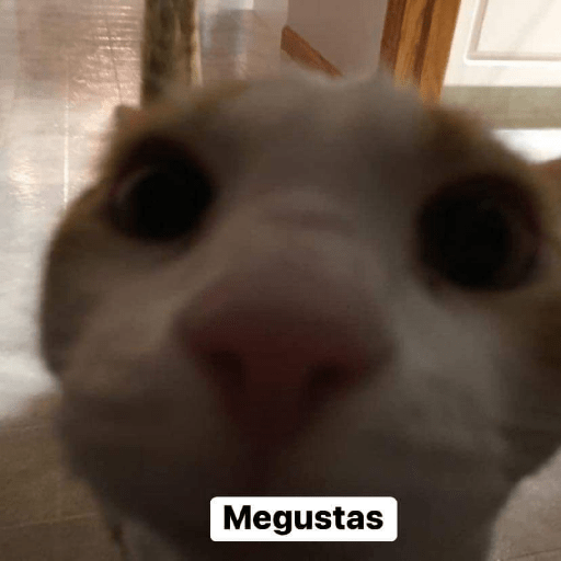 Es por tu bien 12