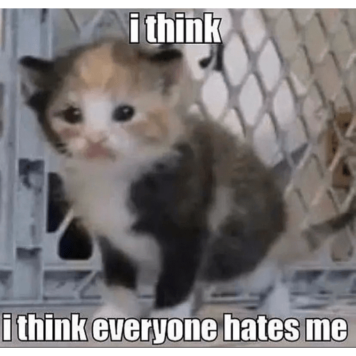 Cats 9