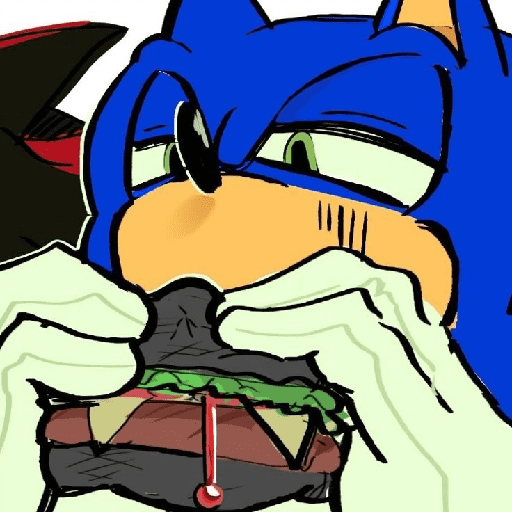 Sonic 6