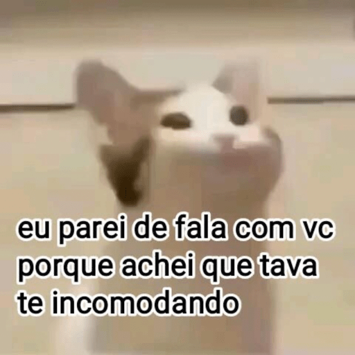 Memes e frases 🤣🤣 9