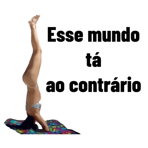 Criações 24