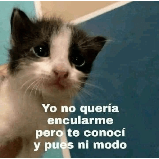 No puedo martha 20