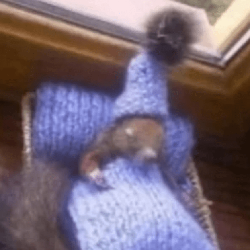 Funny Cats & More  20
