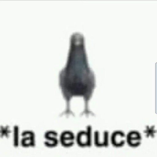 ❤️ Shitpost Amor ❤️ 2