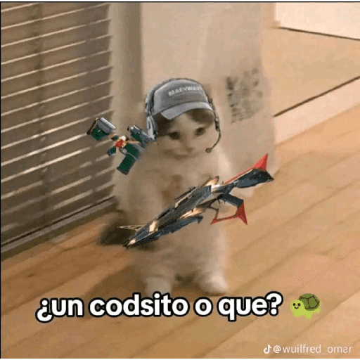 Fotos memes  27