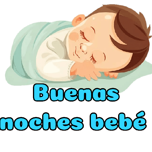 B noches bebo 1