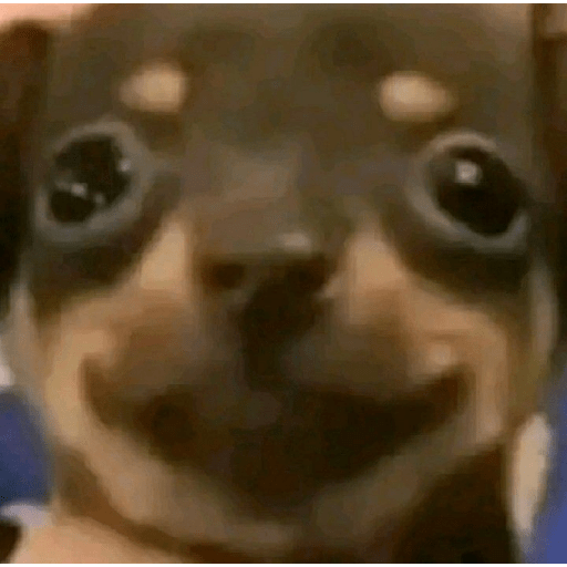 Amongus 18