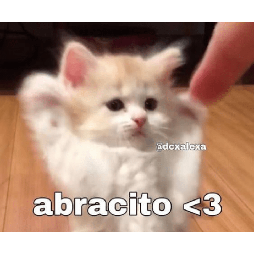 No puedo martha 30