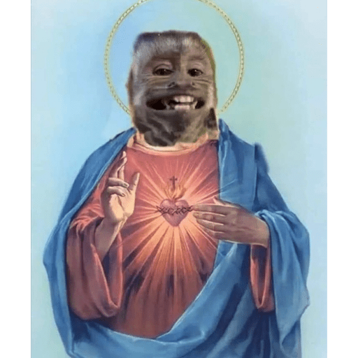 Macacos me mordam 1