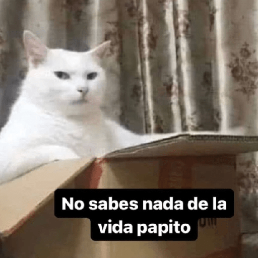 Mix Shitpost 😎🤙 14 4