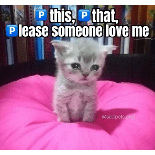 Cats 3