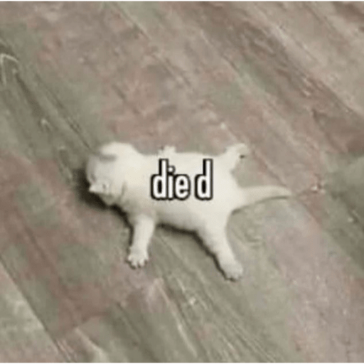 Cats 2