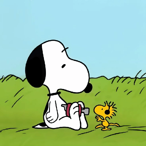 Snoopy. | @illvocano  Haki. 8