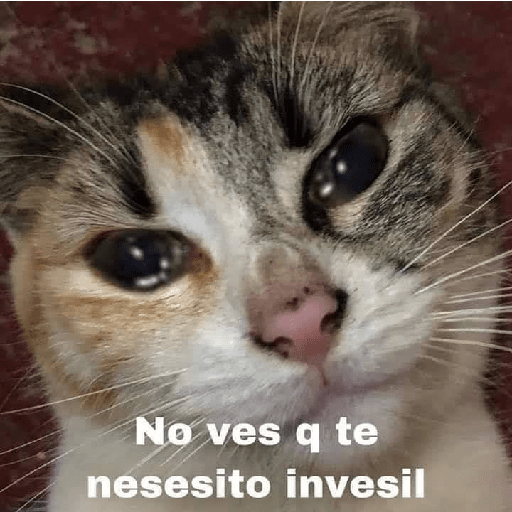 No puedo martha 11