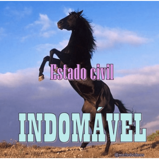 Memes e frases 🤣🤣 11