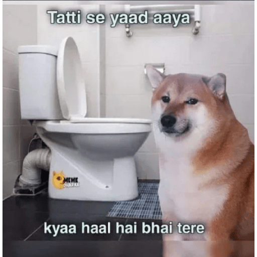 Doge hindi 3 11