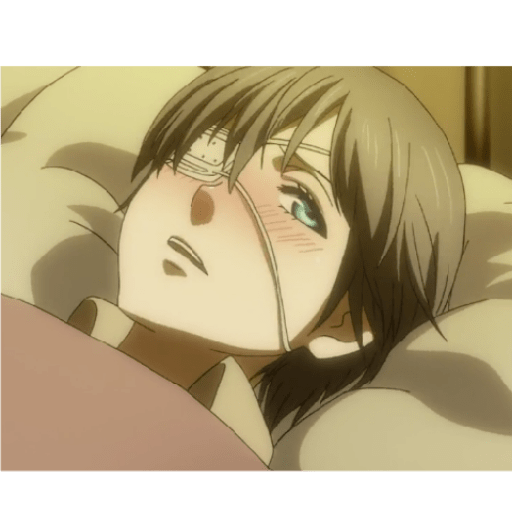 Black butler 13
