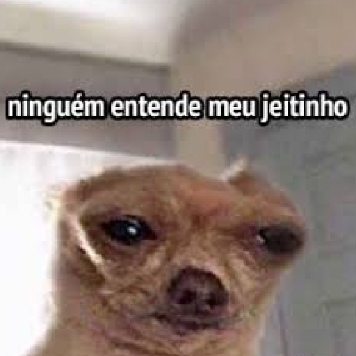 Memes para o grupo 9