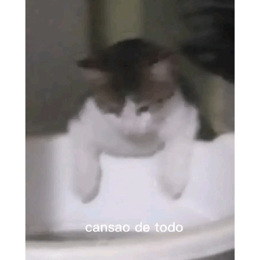 Waos 😯 11